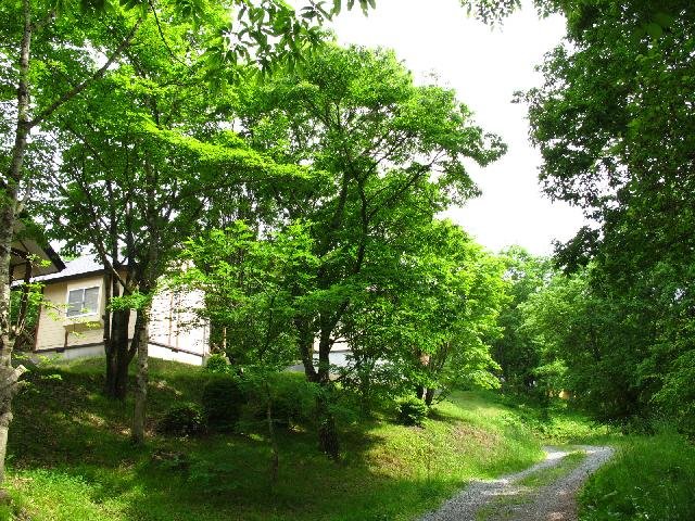 🌳 가타마에야마 산림 공원 (가타마에야마 신린코엔) 이미지 5